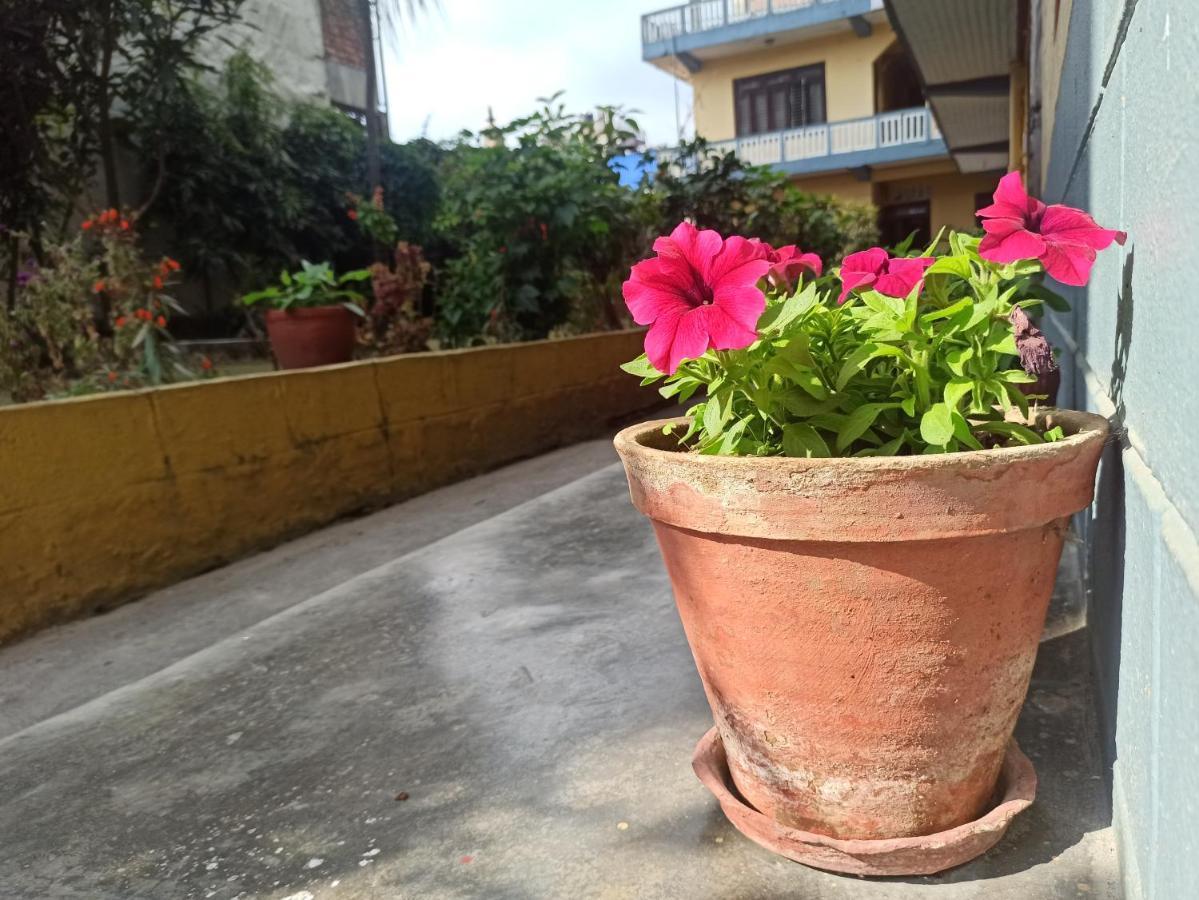 Pushpa Guest House Pokhara Exterior photo